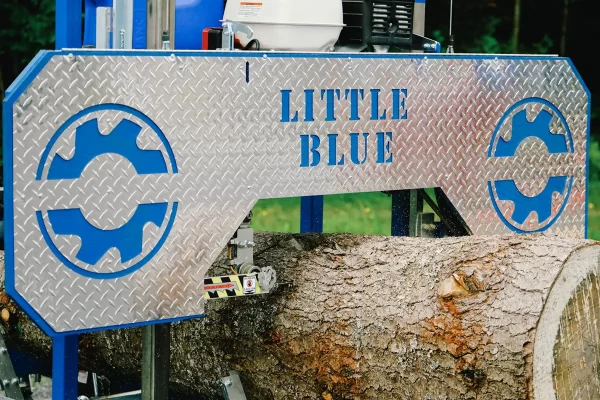 LITTLE BLUE 4