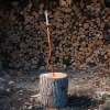 Standard Log Poker - Image 2